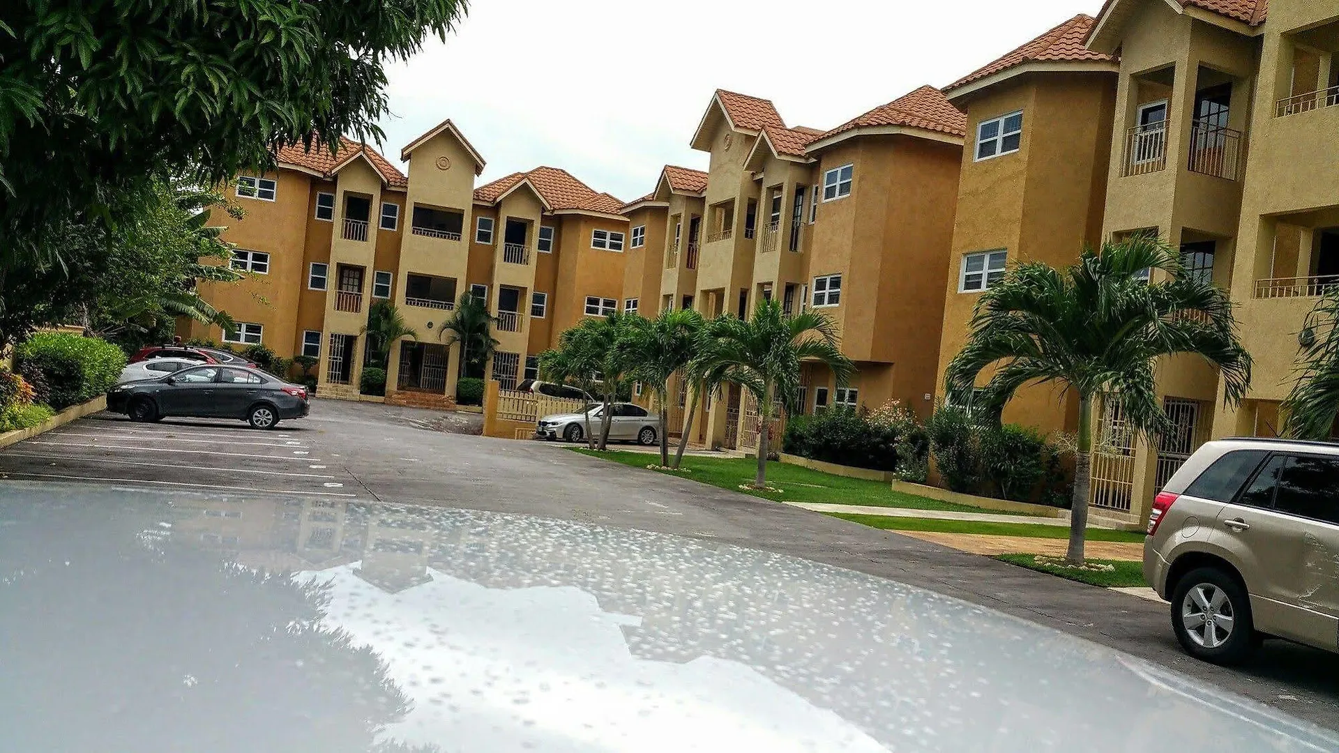 Modern London Decor Guest Apartments Kingston Jamaica